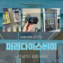 남해 여행 | 파라다이스베이 필름카메라 후기
