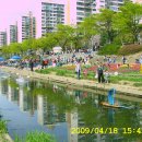 안산천 이미지