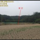 (주)삼안레미콘 | 경북 영천시 신녕면 토지(답)경매 물건[2017타경103382]을 소개합니다 ^^