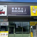 [대구/구미] 프리다이빙 버킷리스트 첫 도전 솔직 후기 (with 블루피스프리다이빙 김상욱 강사님)