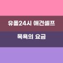 유폴24시 애견셀프목욕 이미지