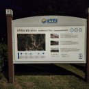 남파랑길 제26차 (48코스)섬진교 동단~진월초등학교(49코스)~중동 근린공원까지 걷기 이미지