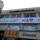 군자뮤직복싱다이어트 이미지