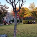 영통에서 가까운 해산물 회 포장센터 - 기흥 활주로수산