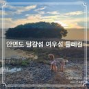 태안 안면도 달걀섬 여우섬 둘레길👣 애견펜션돌봄🔄⤴️ 안면암⤵️ 해안산책로 산책코스 (feat.애견동반) 가볼...