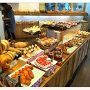 아라파파 이미지