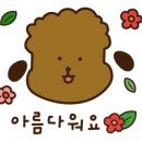 수지네카페