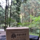 피톤치드캠핑장작