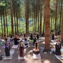 주식회사 웰니스 이미지