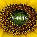 해인모텔 이미지