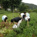 왕림농장 이미지