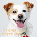 눈소3길 | 전주 신시가지 반려동물 사진관 프레임엑스 스튜디오