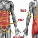 몸다운필라테스 - 서초구 동산로13길 35 | 몸다운필라테스