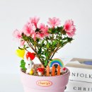 강동초교병설 이미지