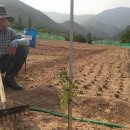 우직농장 이미지