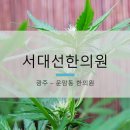 서대선한의원 네이버블로그