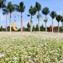 문하농장 이미지