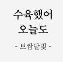 홍스족발보쌈 이미지