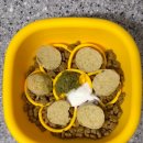 와락펫푸드 | 와락펫푸드 천연 후코이단 레토르트 화식 소시지 체험 후기