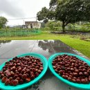 여주-0915 이미지