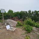 매봉산1 이미지