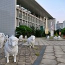 고양어울림누리 별모래극장 이미지