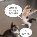 [24JUNE]블챌 시작 전 6월의 일기를 적어볼까나