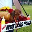 핫도그(HOTDOG) 이미지
