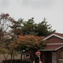 더낭만 이미지