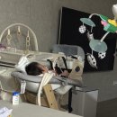31140-8-60-10 | 아티포페 아기띠｜60일부터 10개월까지 써본 내돈내산 후기(할인코드)