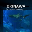 소라수족관 | 오키나와 츄라우미 수족관 방문후기 | 입장권 티켓 저렴하게 사는 법 (휴게소아님)