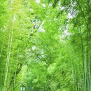 반구경로식당 | 경도법 지구본 위 나의 위치 찾기