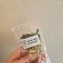 골든햄스터분양 탬펫 강남점 이미지