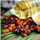 도화충전소 이미지