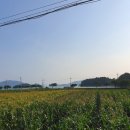 서인농장 이미지