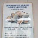 광양읍 남자초등학교 | 광양읍 점심 맛집 현지인 추천 오만복손칼제비 전남 광양 여행