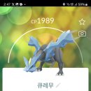 포켓몬 고 하나로의 길 하나투어 후기