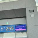 영영쌈밥 | [영국 워홀🇬🇧] 영국으로 출국, 아시아나 비즈니스 후기, 임시 숙소 도착