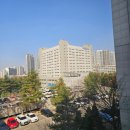 남광산호공인중개사사무소 | 전세보증금반환소송 주의할 점 3가지