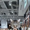(주)조하 이미지