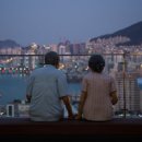 153행정사 사무소 이미지