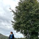 다혜목장 이미지