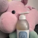 화이트펫# | 10살 노령견 말티즈 피부 고민 끝! "펫퍼스 더순한샴푸"화이트 사용후기