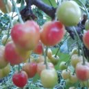 성숙농장 이미지