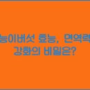 능이랑 이미지