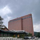 서울 신라호텔 비즈니스 디럭스룸 &amp; 어반아일랜드 &amp; 전복한우차돌박이 짬뽕 &amp; 룸서비스 이용후기