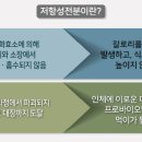 도담식품슈퍼
