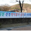 남사카 Daum카페