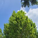 황강생태공원2 이미지