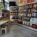 멍냥펫24 이미지